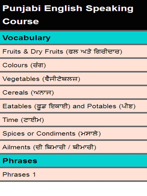 punjabi english speaking course iPad screenshot 1 - Education app