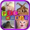 PicWords-Game