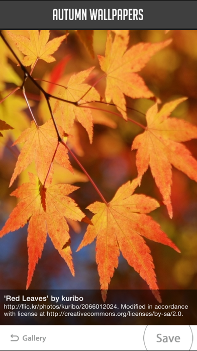 Screenshot #2 pour Autumn Wallpapers