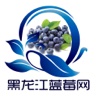 黑龙江蓝莓网