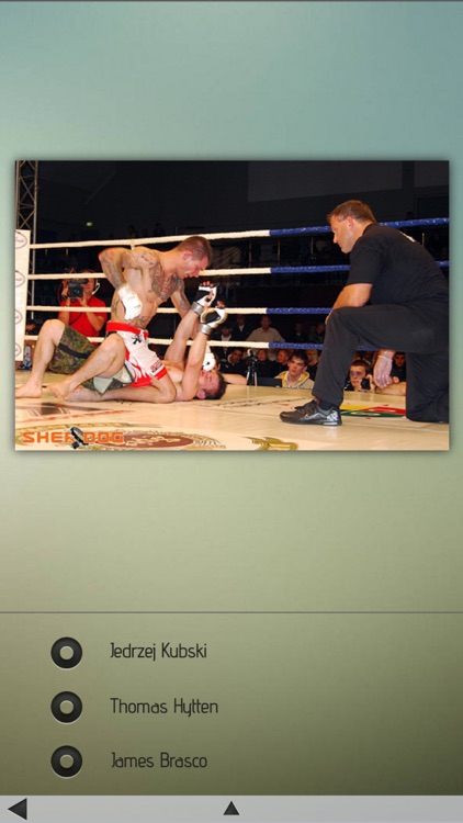 Fighters Arena screenshot-3