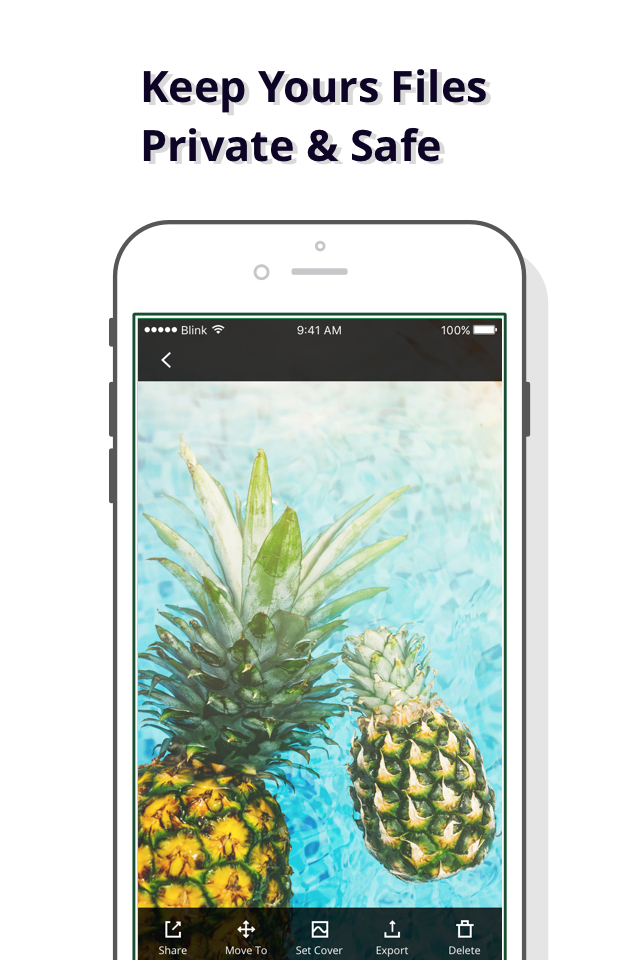 Private Photo Safe - Photo Video File Secure Vault