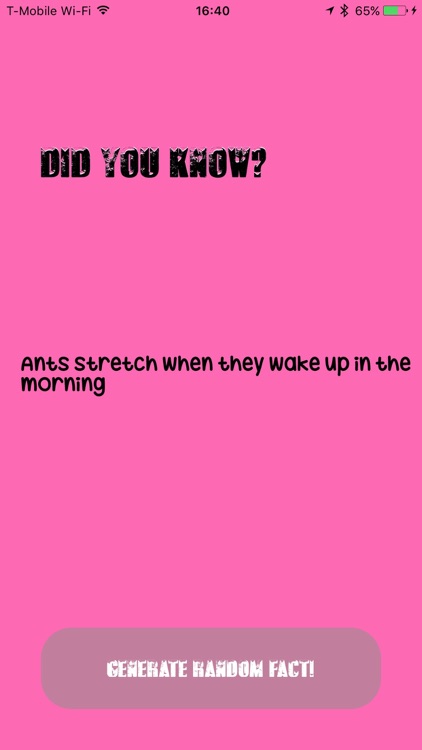 Brain Food Fun Facts!