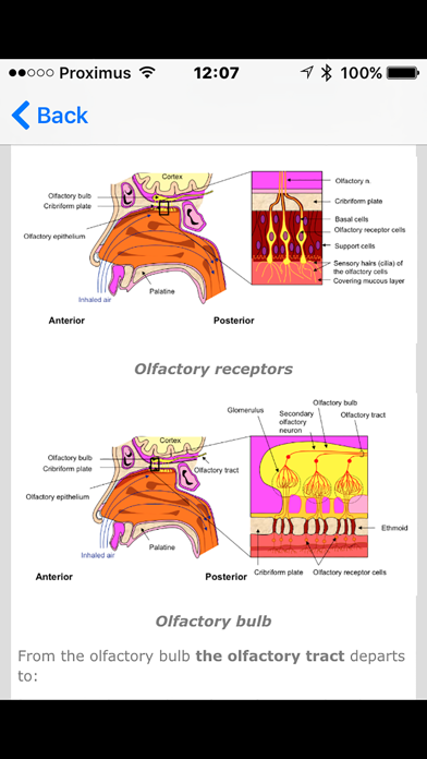 iCranialNerves Screenshot