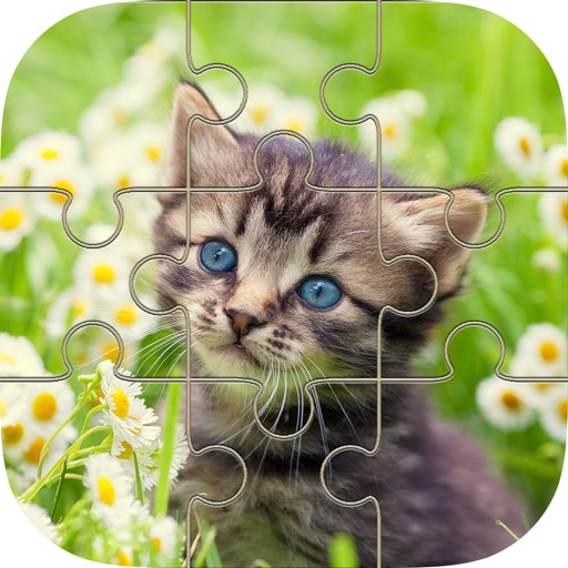 Cat Kitten Jigsaw - Puzzles Games for Girls Who Love Baby Animals Icon