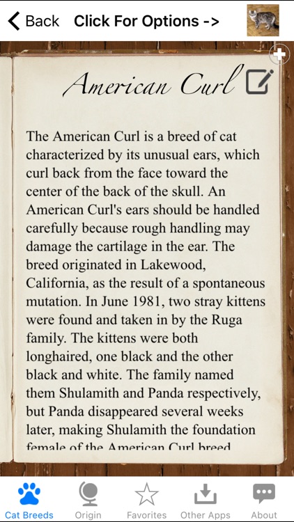 Encyclopedia of Cat Breeds