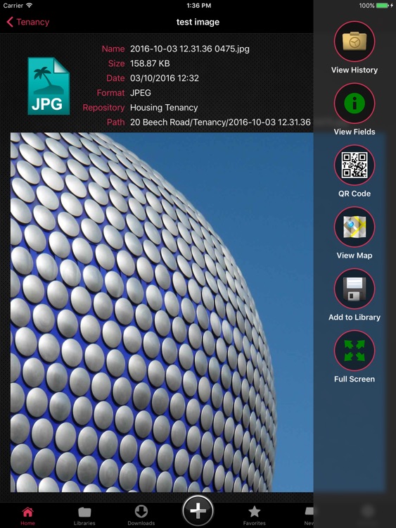 365 Agile Mobile App