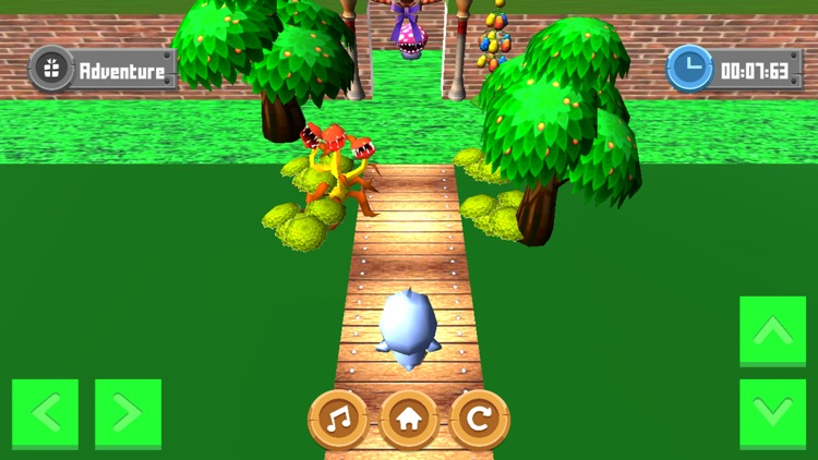 Adventure Maze 3D