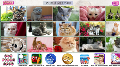 Puzzles of Kittens Free screenshot 3