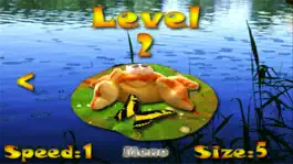Game screenshot iFroggi apk