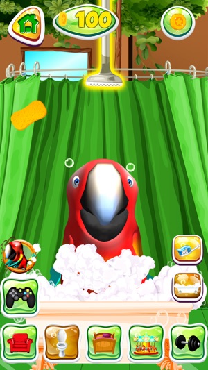 Talking Parrot Pet(圖2)-速報App