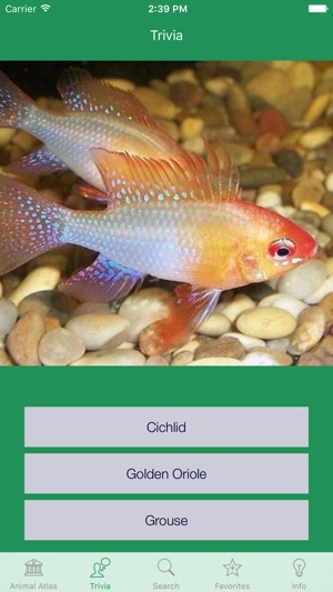 Animal Atlas(圖2)-速報App