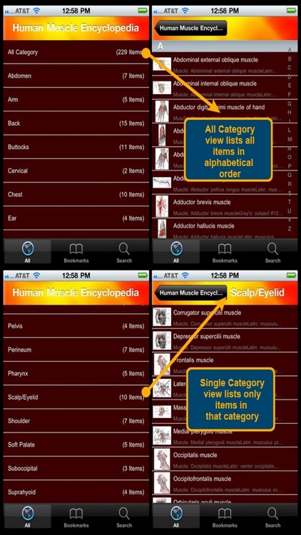 Human Muscle Encyclopedia Plus+ screenshot-3