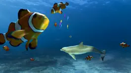 Game screenshot Aquarium VR mod apk