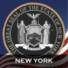 NY Court Acts (New York Laws, Titles & Codes)