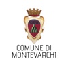 Scopri Montevarchi