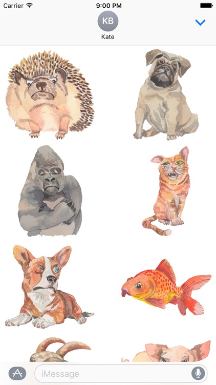 Grumpy Animals by Rhea Dennis