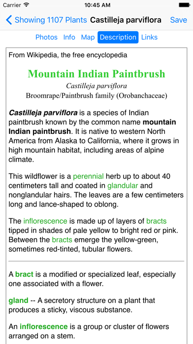 Mt Rainier Wildflowers iPhone screenshot