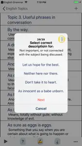 English Offline Audio Topics screenshot #6 for iPhone