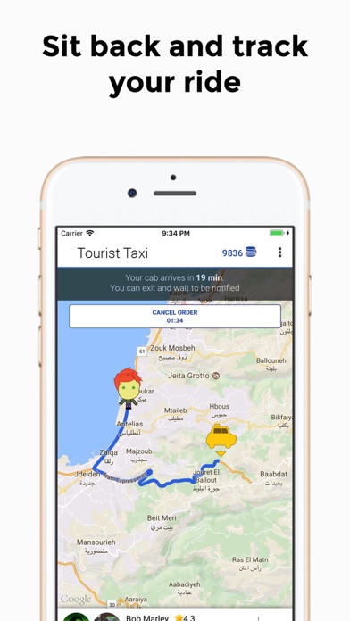 Tourist Taxi screenshot 3