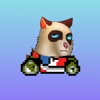 Angry Cat Cart Racing - iPhoneアプリ