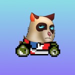 Download Angry Cat Cart Racing app