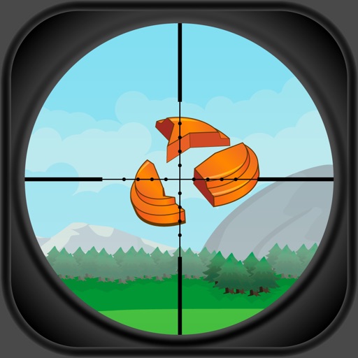 Shooting Range - Aim & Fire at the Target InterNational Championship icon