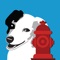 My Buddy’s Place Hydrant-Care Tool for Dog Rescues