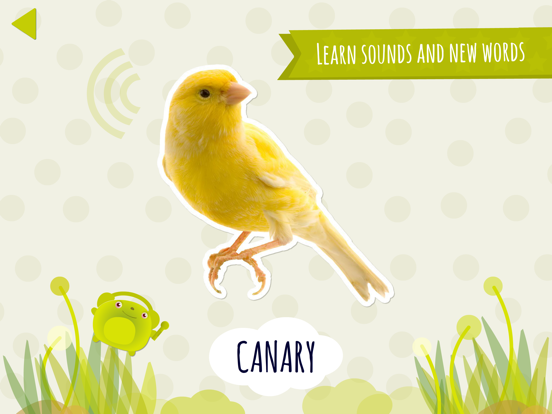 Domi Domi Listen And Guess Lite