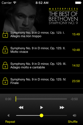 Beethoven: Symphony No.9 screenshot 3