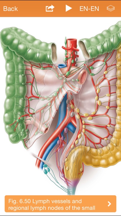 Sobotta Anatomy screenshot-4
