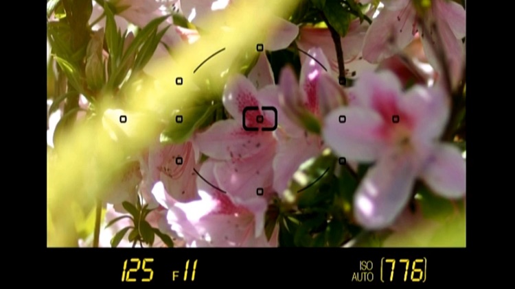 Nikon D90 - Basic Controls HD screenshot-3