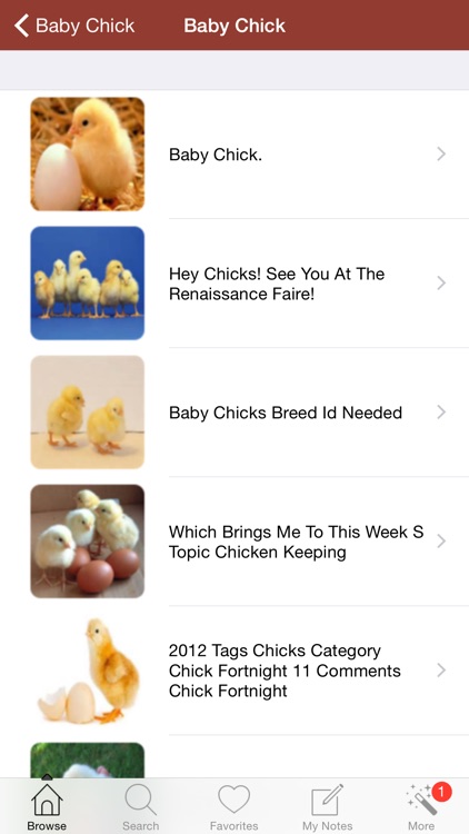 1,001 Chicken Guide