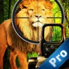 A Lion Safari Pro