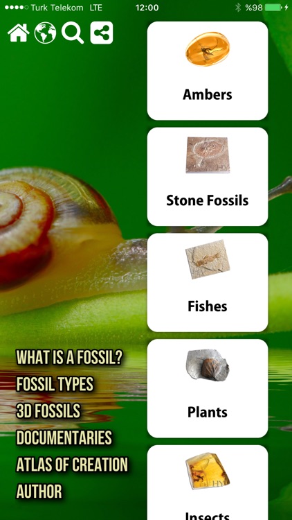 Fossil Museum screenshot-4