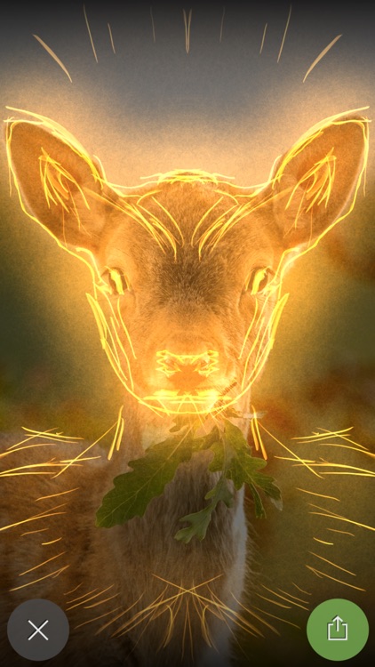 Silk Coloring screenshot-3