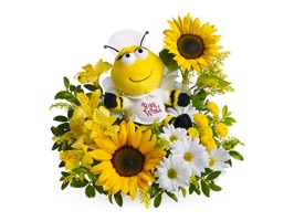 ● ONLY TODAY: BIG SALE 50% OFF ● Download NOW