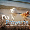 Daily Proverbs - NASB Bible - Jak In The Box Productions