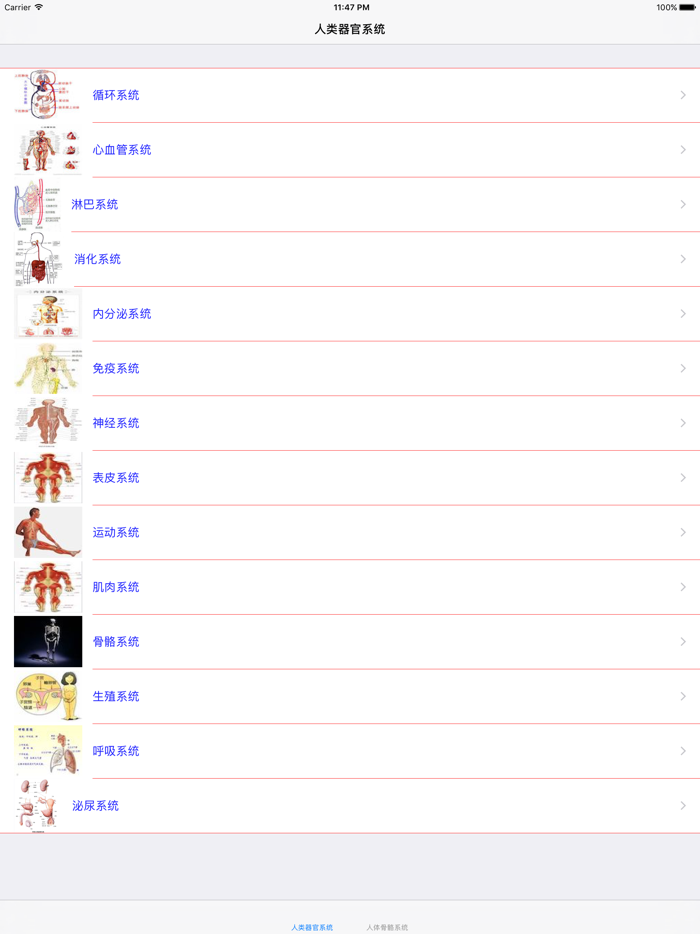 人类器官系统人体骨骼构造大全