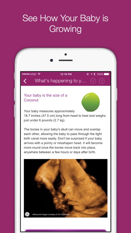 I’m Expecting Pregnancy App and Baby Guide