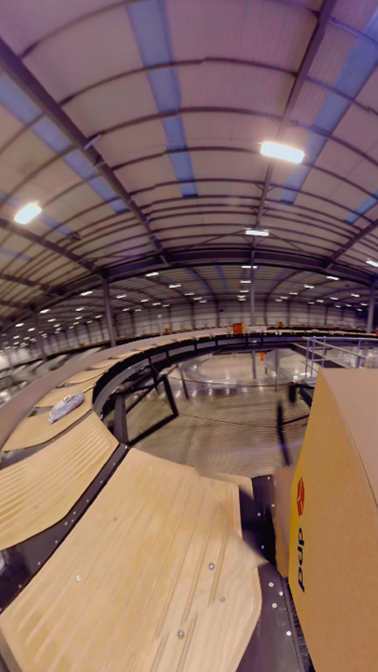 DPD VR Experience