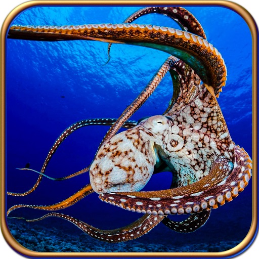 2016 Attack Of The Octopus - Underwater Hunt icon