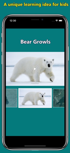 Names of Animal Sounds(圖4)-速報App