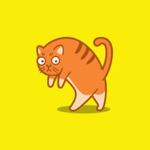 scared orange cat gif