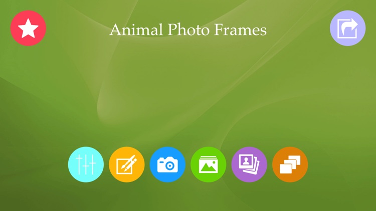 Animal Photo Frames