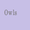 OwlsQuiz