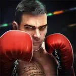 Real Boxing 2 Stickers App Support