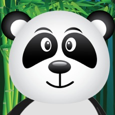 Activities of Poke the Panda