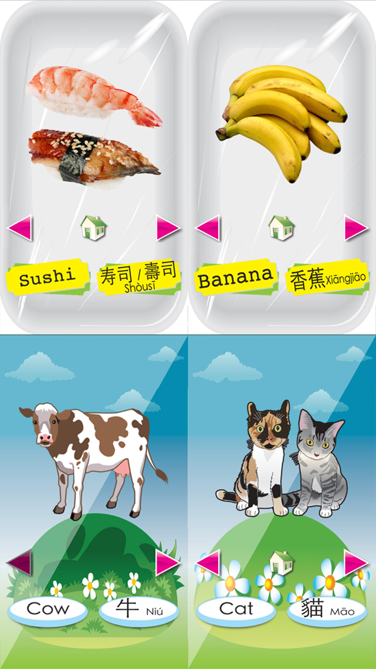 Baby School -(Chinese+English) Voice Flash Cards