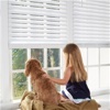 Window Blinds Safety:Decorating and Creating